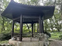 無憂居·忘塵舒庭民宿 - 山景