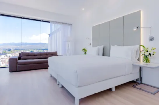 NH飯店-聖路易斯波託西