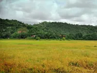 Koposizon Homestay Papar Hotels in Papar District