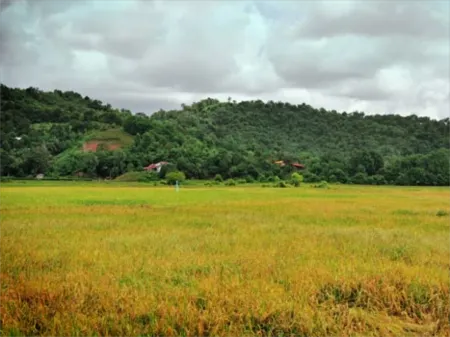 Koposizon Homestay Papar Отели в г. Папар