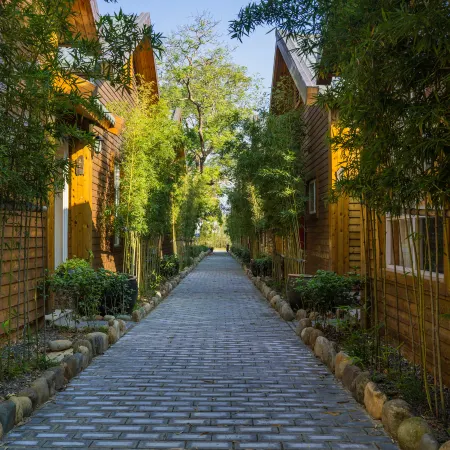 Yingde Zhulu Qingxiang B&B