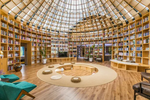 Padding Starry Sky Library Homestay