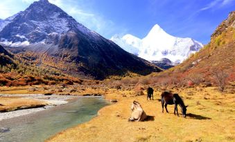 Wanan Hostel (Daocheng Yading)