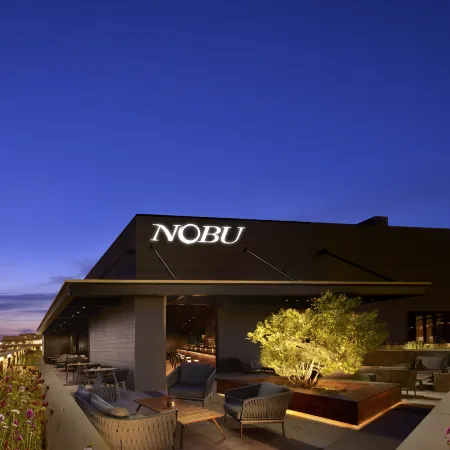 Nobu Hotel Chicago Отели рядом с достопримечательностью «Оук-стрит»