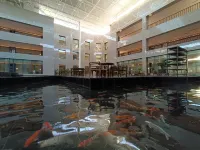 Kroraina Guest Hotel Hotel dekat Ruoqiang Passenger Transport Terminal