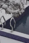 山澗裡180°山景茶園山奢臨溪度假美宿（雲上草原熊貓探險樂園店）
