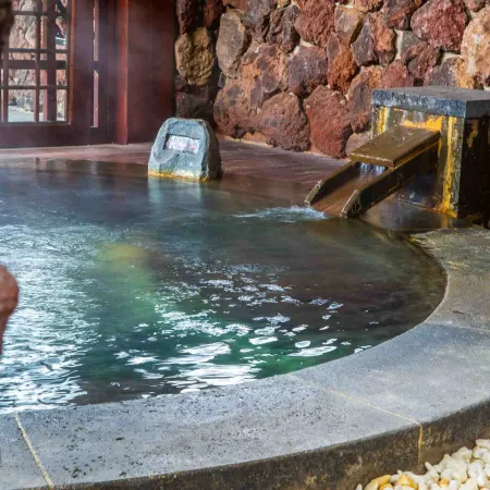 Amazing Orchid Pavilion Hotspring Hotel.