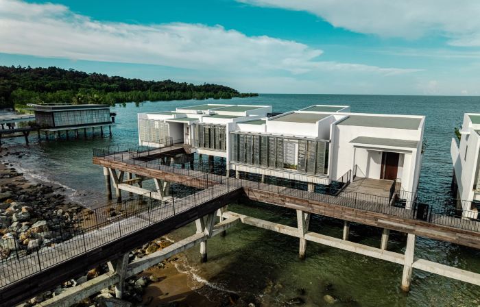 Cove 55