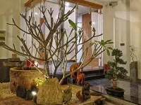 Stone Hot Spring Inn (Hot Spring Qidan Ancient Town) Hotels in Shidian