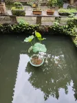 Ting Yun Shan Fang