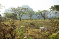 Vang Vieng Romantic Place Resort Hotels in Vang Vieng