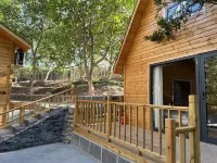 Encountering homestays again - 3 Yıldız