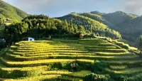 Chongyi Shangbao Terraces are transported to accommodation