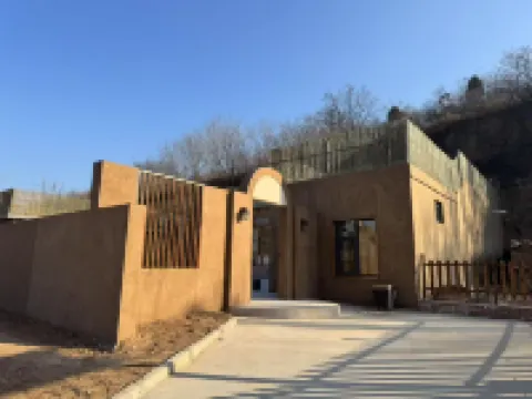 Tianshe Yaodong Homestay