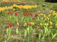 Ridgeview Boutique Villa