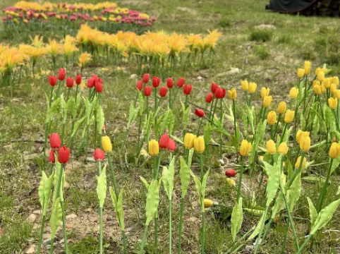 Ridgeview Boutique Villa