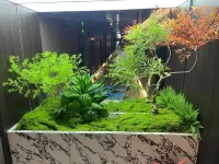 Heishi E-Sports Hotel (Weifang Railway Station Taihua City)