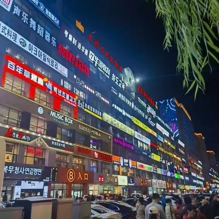 Yanji Jinlai Hotel (Yanbian University Internet-famous Wall)