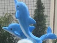 下川岛海豚精品客栈 - 花园