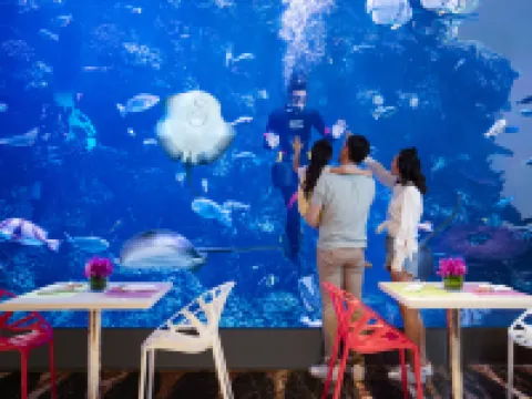 Chimelong Hengqin Bay Hotel Hotels in Zhuhai