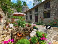 Huguan Olive Tree Homestay