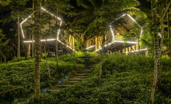 Small overseas Chinese coconut forest secret tent camp