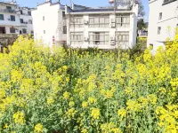 Xinyue inn, Jiangling, Wuyuan Hotels near Jiangling Scenic Area