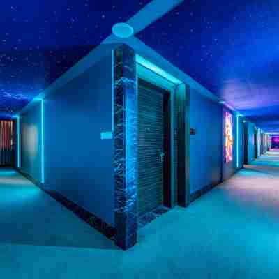 TOK E-sports Homestay (Zhongshan Tanzhou) Others