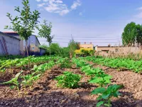 Jishan Diary Homestay in Kurdish Scenic Area