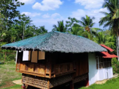 Rose Apartments Hotels in Anda