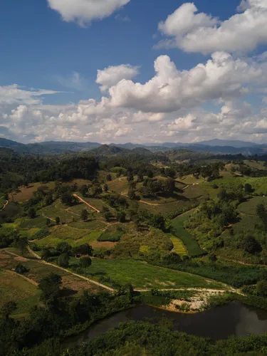 รูปภาพของทานตะวัน เต็นท์ แคมป์
