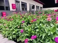Shizikou Leisure Vacation Homestay (Chonghuer Zhen) - Park Yeri