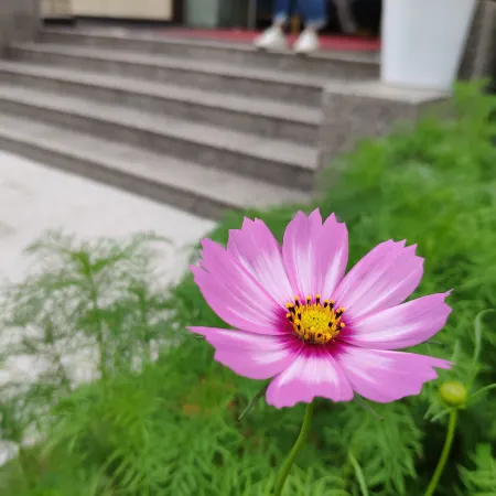 Yuyao Yijia Homestay (Yuyao Siming Lake Scenic Area)