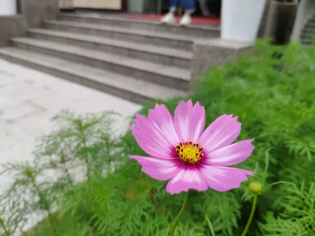 Yuyao Yijia Homestay (Yuyao Siming Lake Scenic Area) Отели рядом с достопримечательностью «Siming Lake»