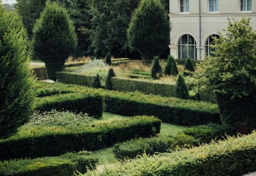 비엔나 하우스 드림 캐슬