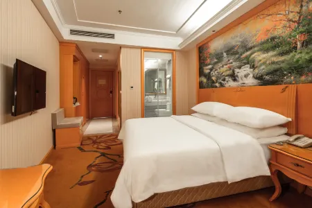 Vienna Hotel (Shangqiu Guide Middle Road Wanda Plaza) Отели рядом с достопримечательностью «Shangqiu Polytechnic (Shenhuo Avenue)»
