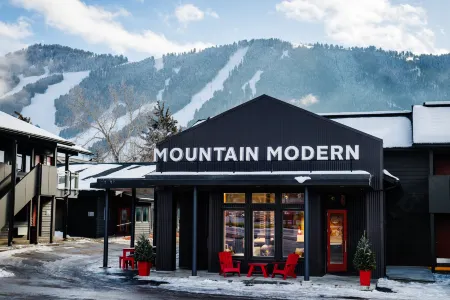 Mountain Modern Jackson Hole