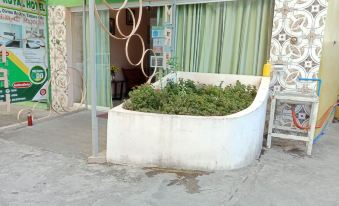Meaco Royal Hotel - Tabaco