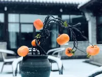 치위 구위안 홈스테이