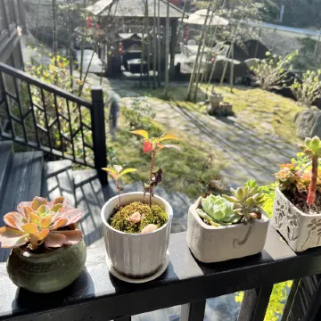 Yunbingshan Tashan Stone Inn