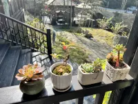 Yunbingshan Tashan Stone Inn