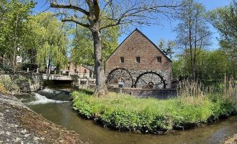 Hôtel du Vieux Moulin