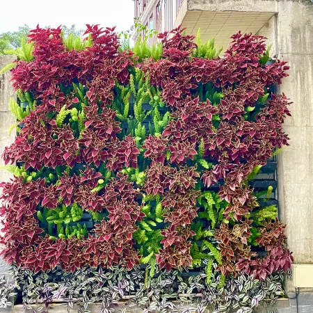 Mossflower Hotel (Zhuhai Jinwan Airport) Отели рядом с достопримечательностью «Zhuhai College of Science and Technology»