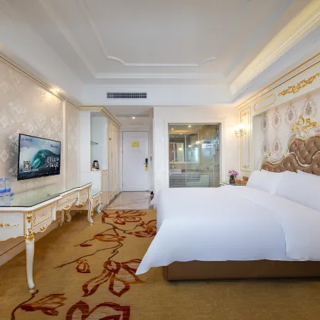 Vienna International Hotel (JieYang YangMei Jade Capital Hotel)