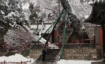 Homeinn Fairyland Homestay (Taiyuan Ancient County/Jinci Temple)