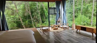 Ten year Boutique Homestay Hotels in 