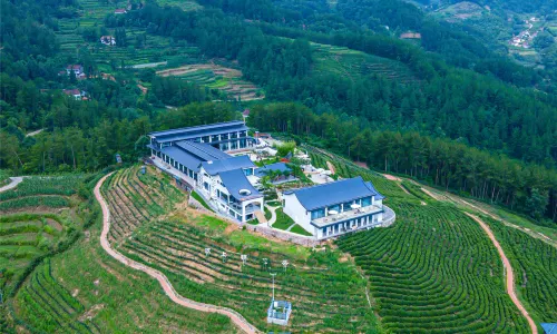 Hanshang Yunjin Tea Theme Homestay