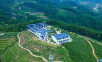 Hanshang Yunjin Tea Theme Homestay Hotels in Mian County