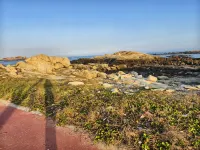 See Hailou Homestay Hotels near Luojia Temple