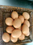 Huocheng Huangyin Homestay (Jiayou Princess Lavender Farm) - breakfast